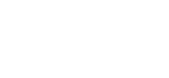 Mike Radoor - Techsavvy logo